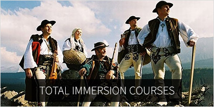 total immersion courses